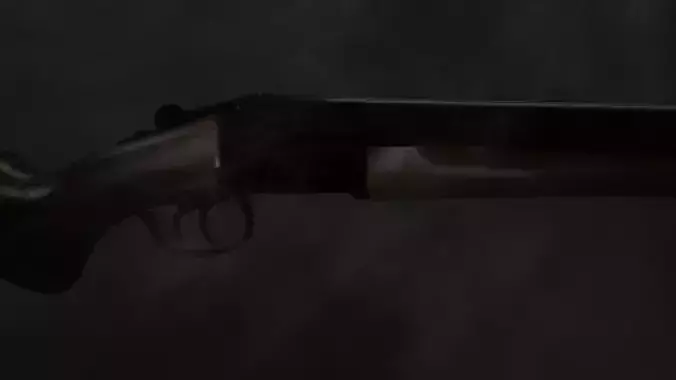 Double Barrel Shotgun