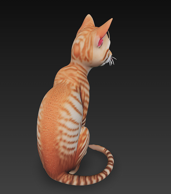 Cat Realistic 3D Model Basic - Low Poly Realistic Low-poly 3D model_3