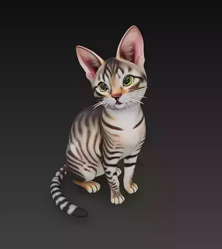 Cat Realistic 3D Model Basic - Low Poly Realistic 