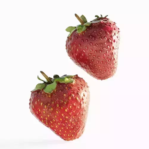 Scanned Strawberry Berry