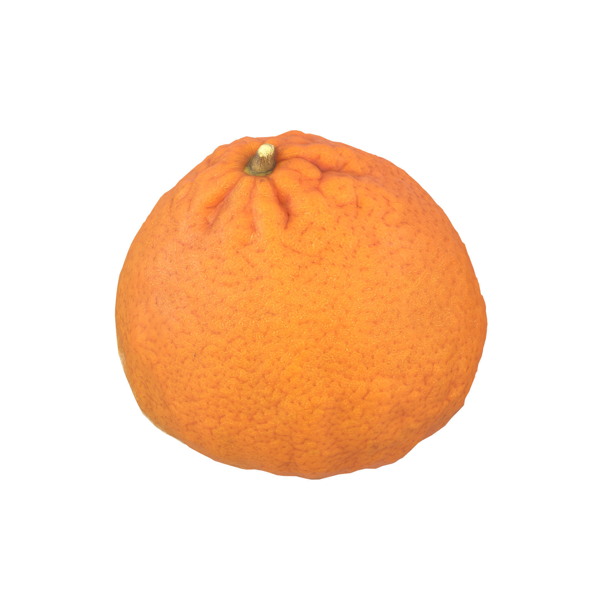 Fruits And Vegetables 3D Model Collection_9