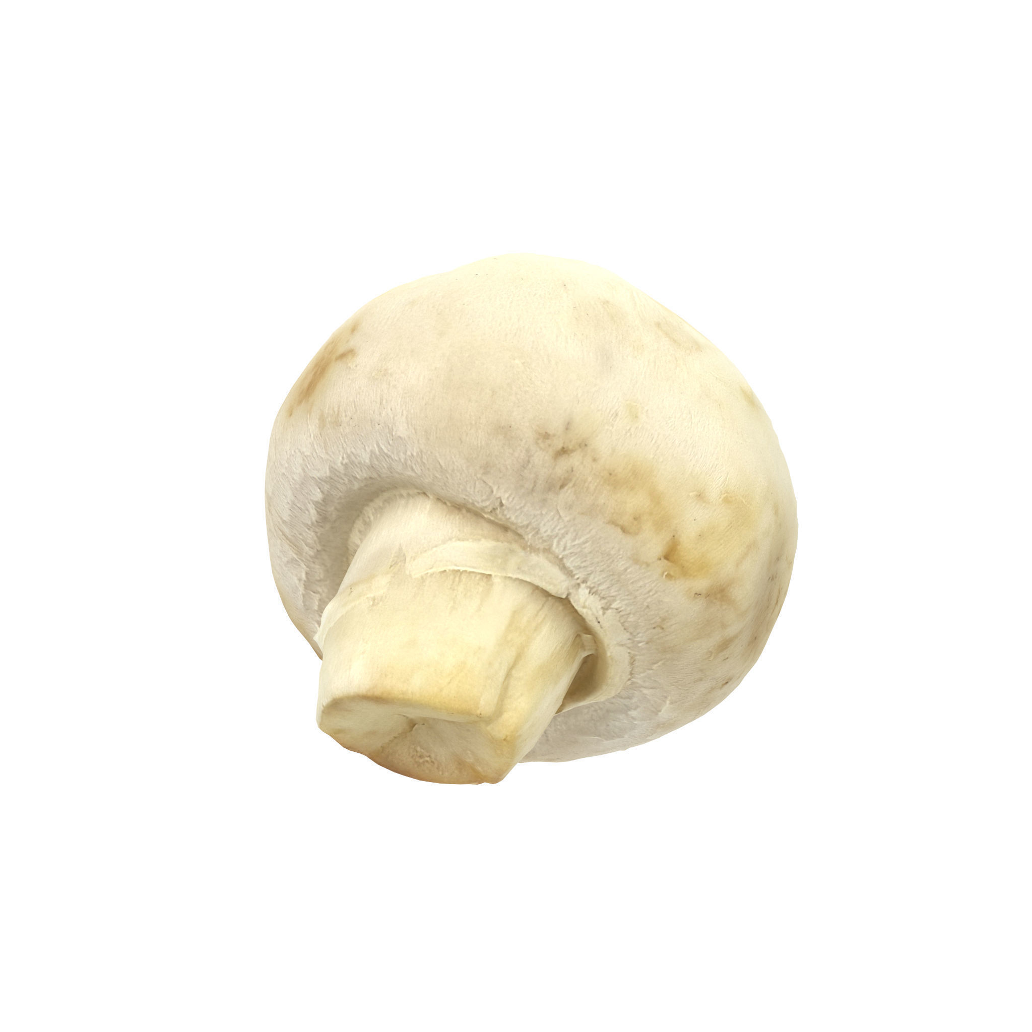 Fruits And Vegetables 3D Model Collection_12