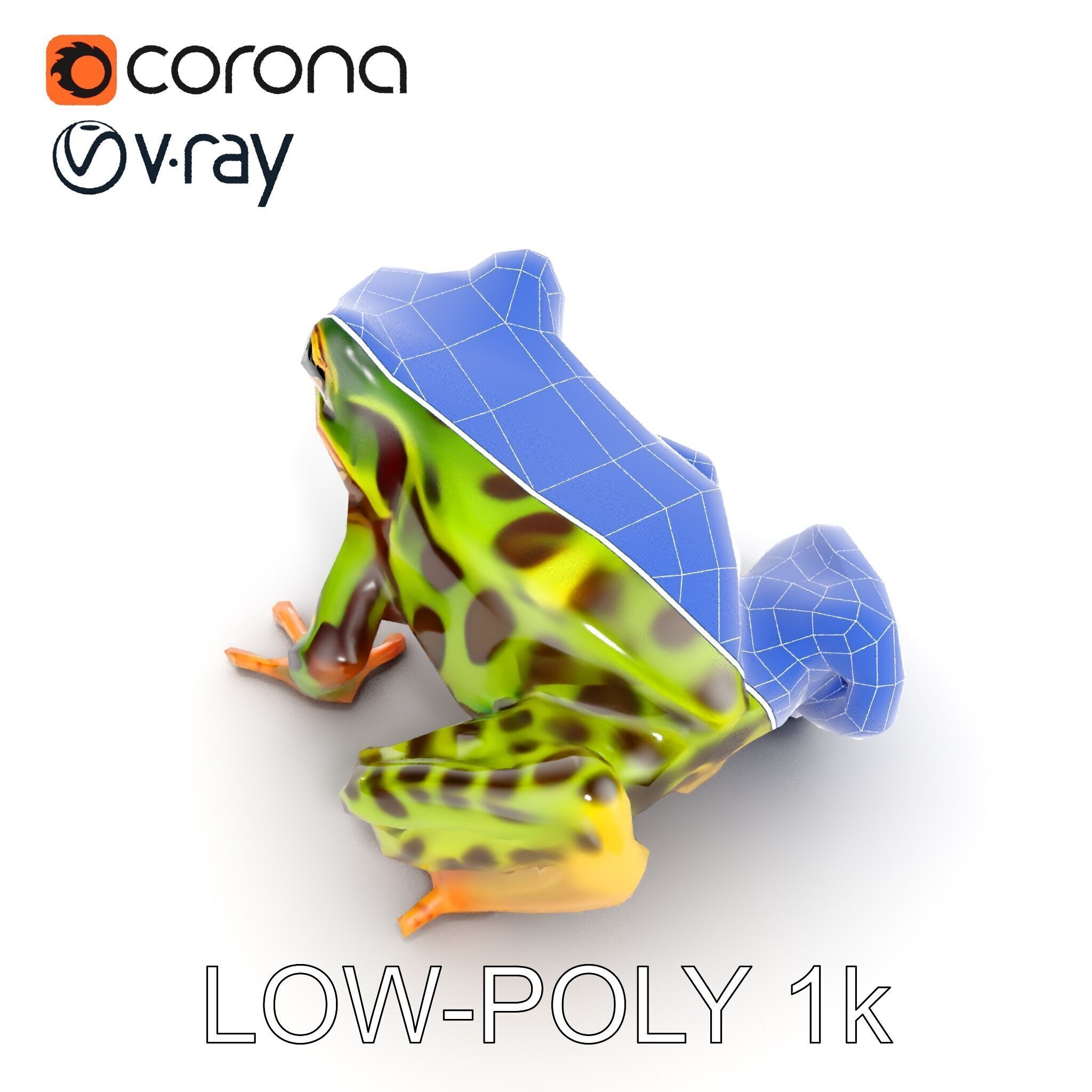 Colorful Tree Frog D Model Pack Low-poly 3D model_26
