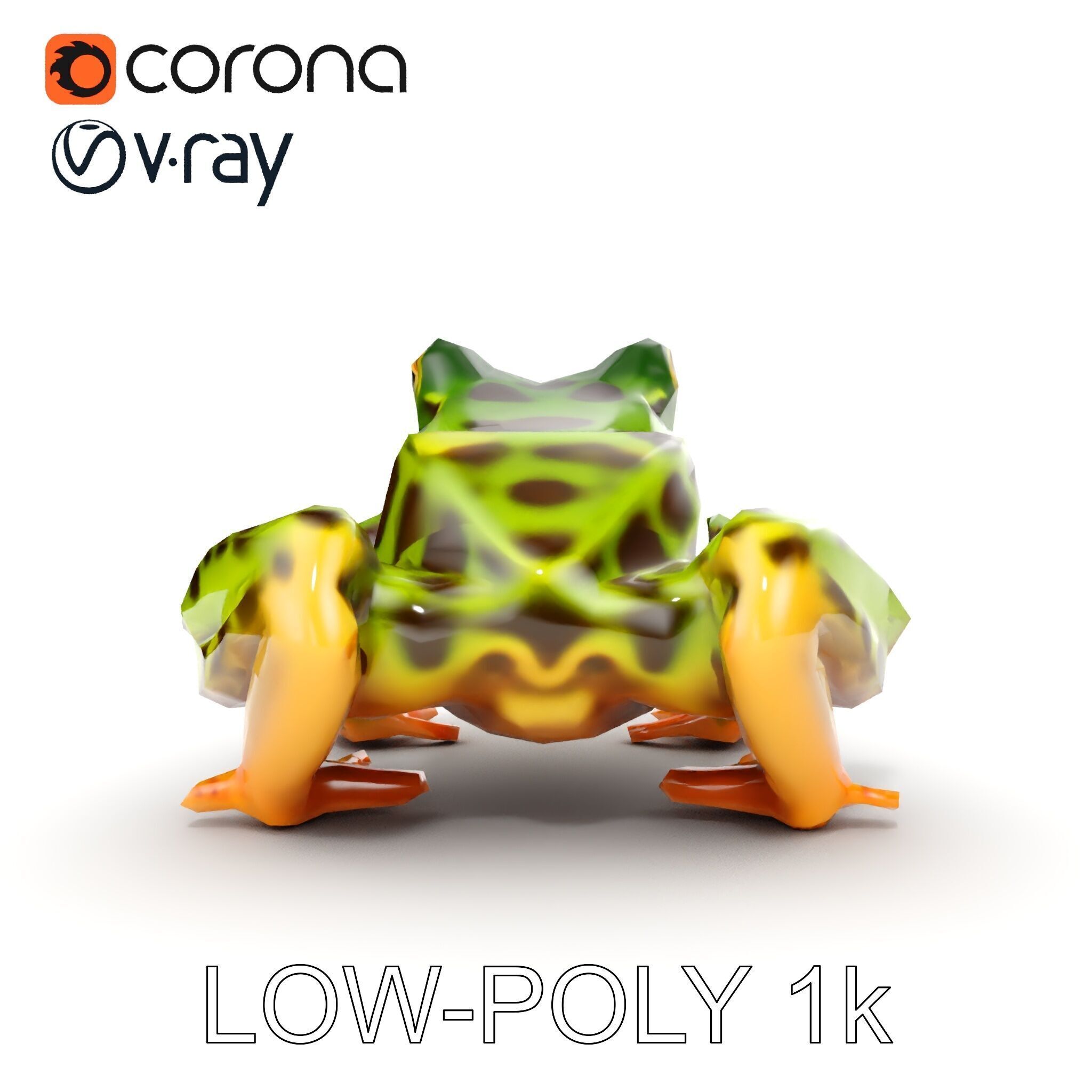 Colorful Tree Frog D Model Pack Low-poly 3D model_31