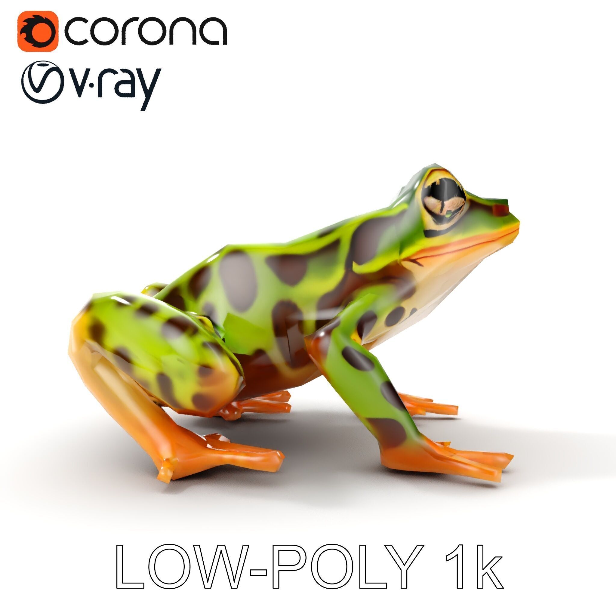 Colorful Tree Frog D Model Pack Low-poly 3D model_16
