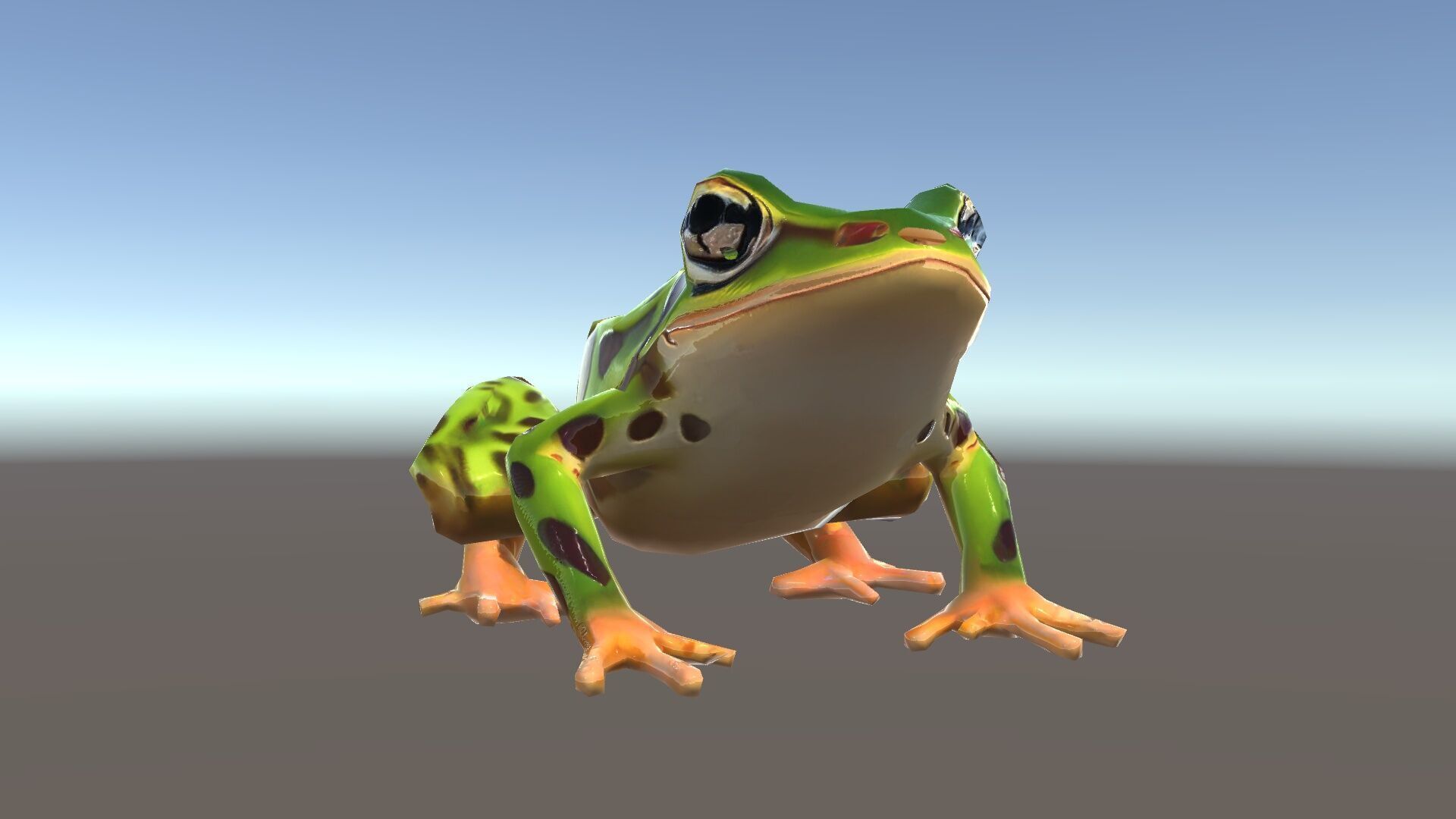 Colorful Tree Frog D Model Pack Low-poly 3D model_10