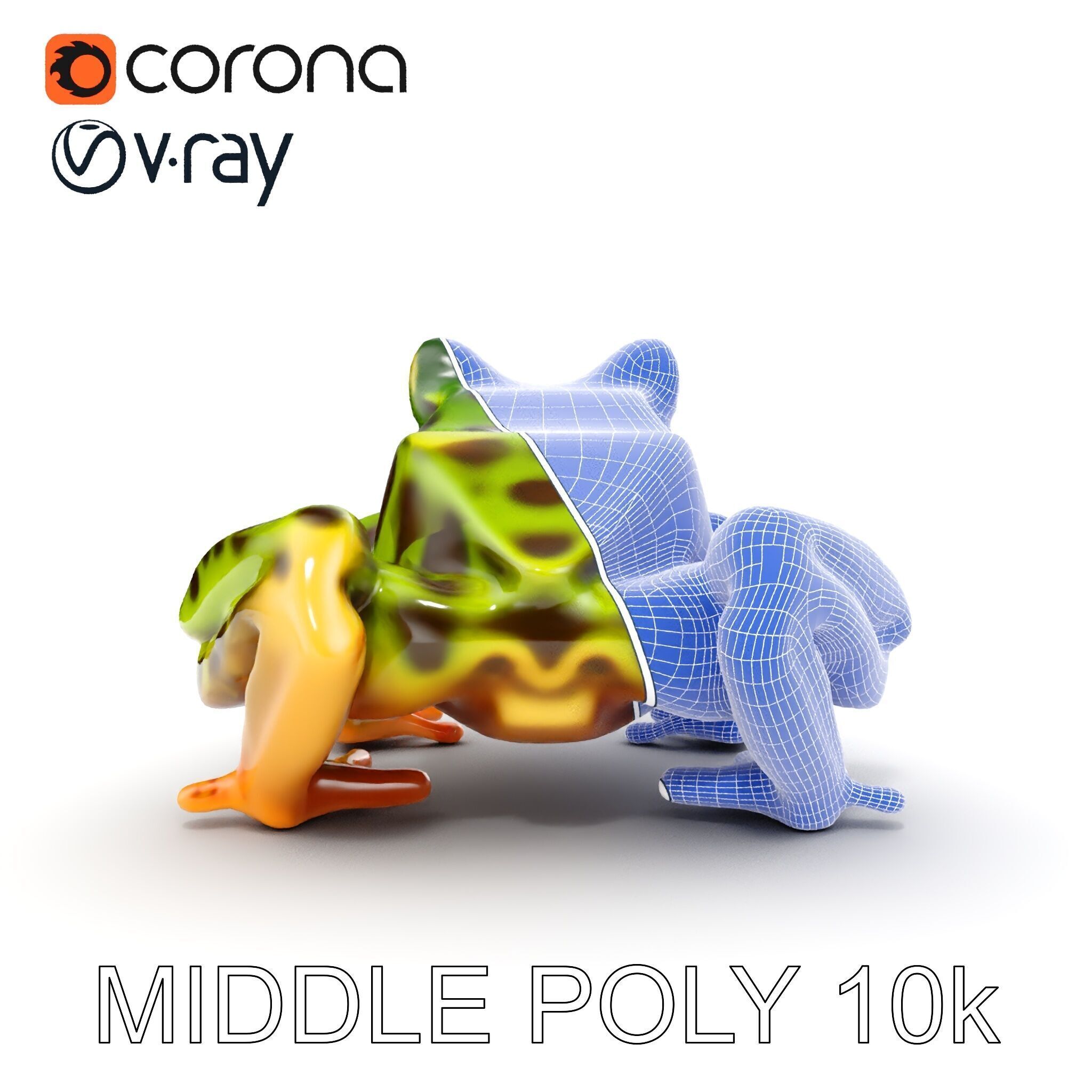 Colorful Tree Frog D Model Pack Low-poly 3D model_9