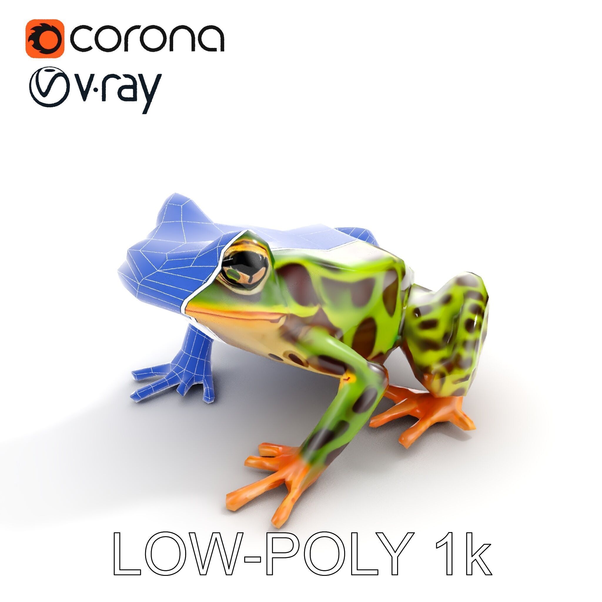 Colorful Tree Frog D Model Pack Low-poly 3D model_33