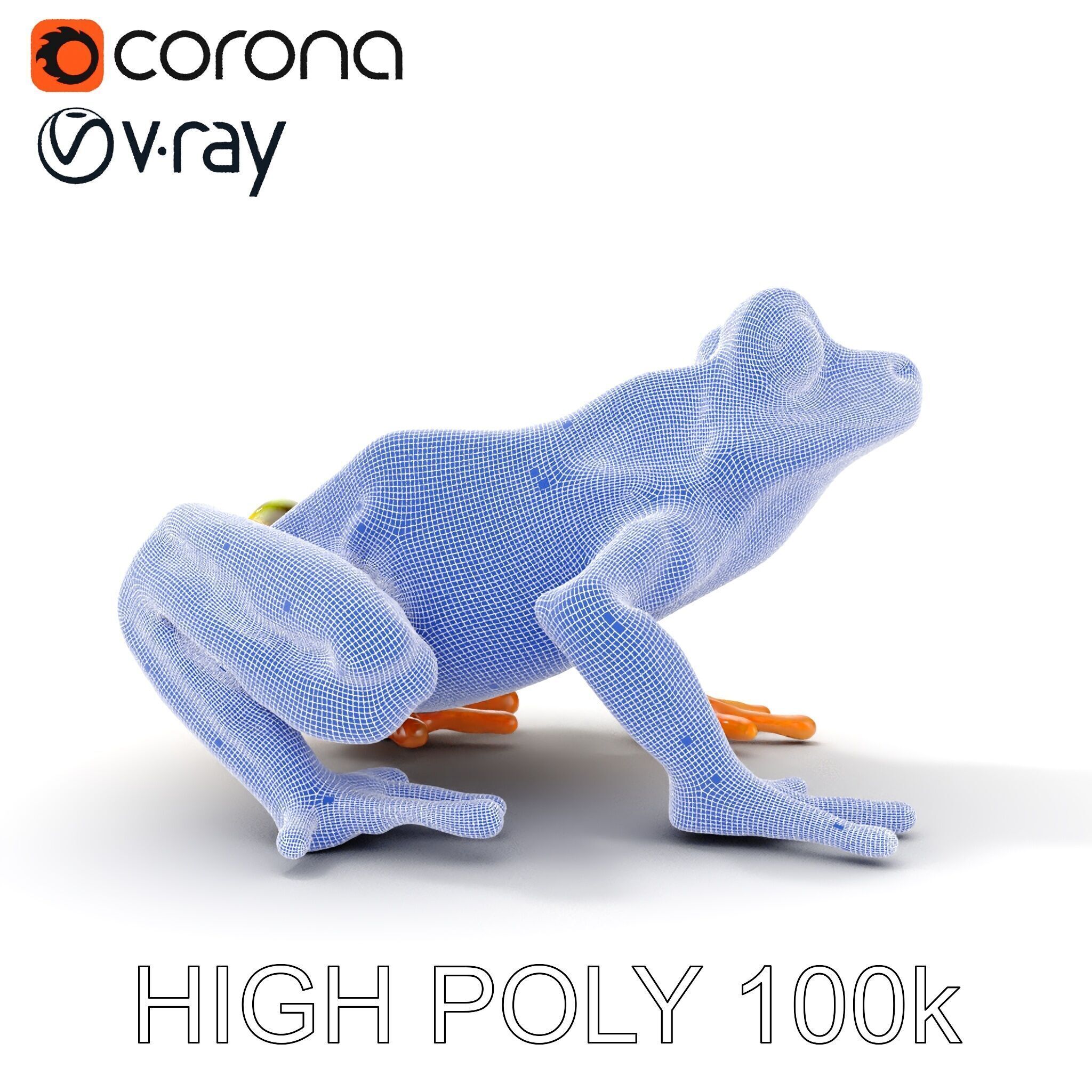 Colorful Tree Frog D Model Pack Low-poly 3D model_34