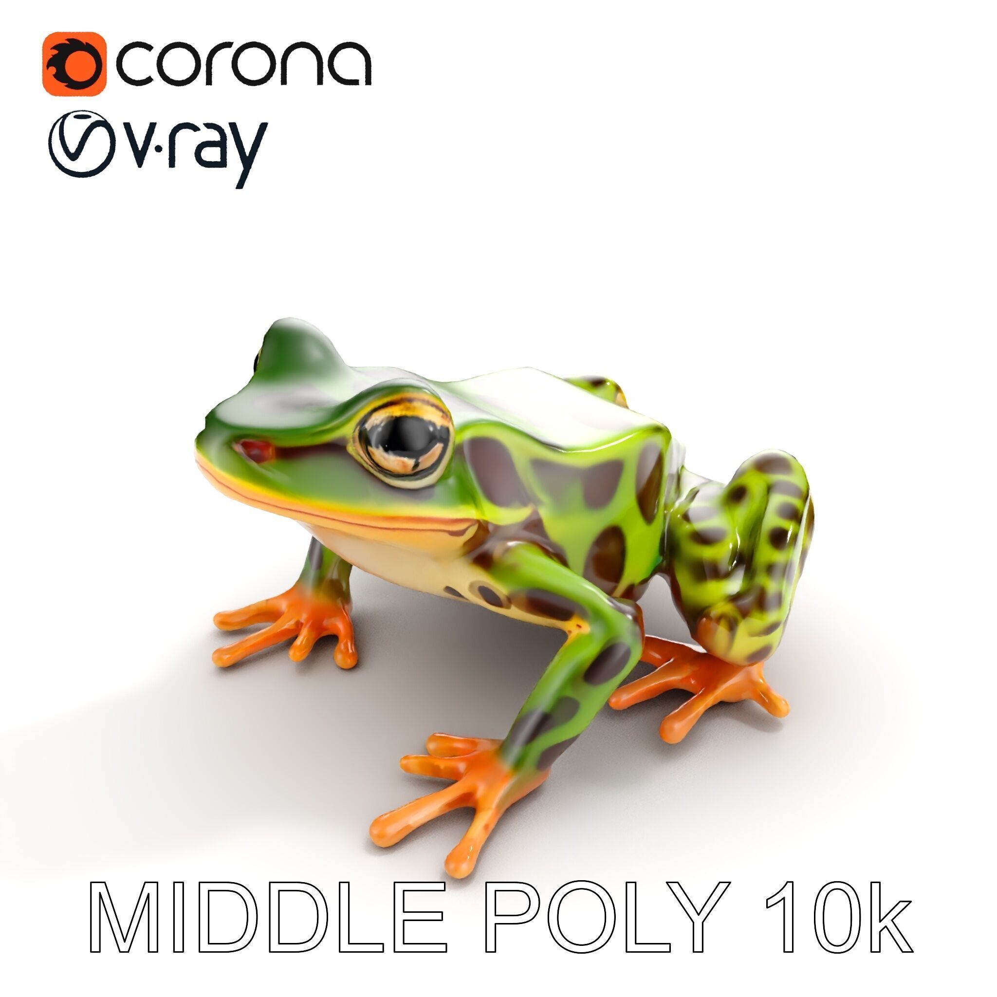 Colorful Tree Frog D Model Pack Low-poly 3D model_30