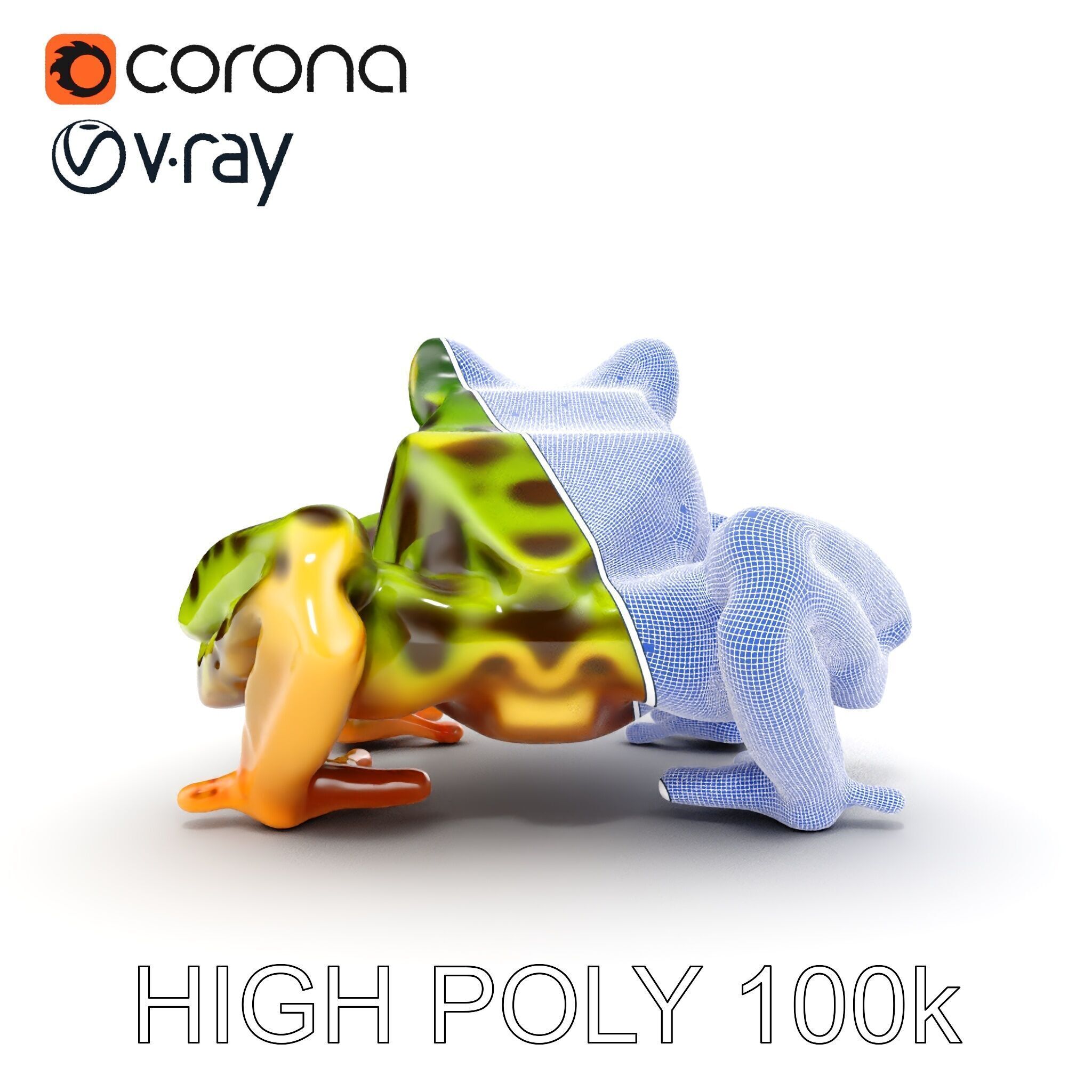 Colorful Tree Frog D Model Pack Low-poly 3D model_11