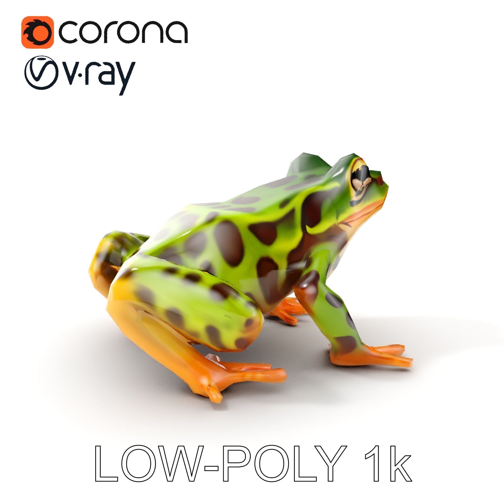 Colorful Tree Frog D Model Pack Low-poly 3D model_13