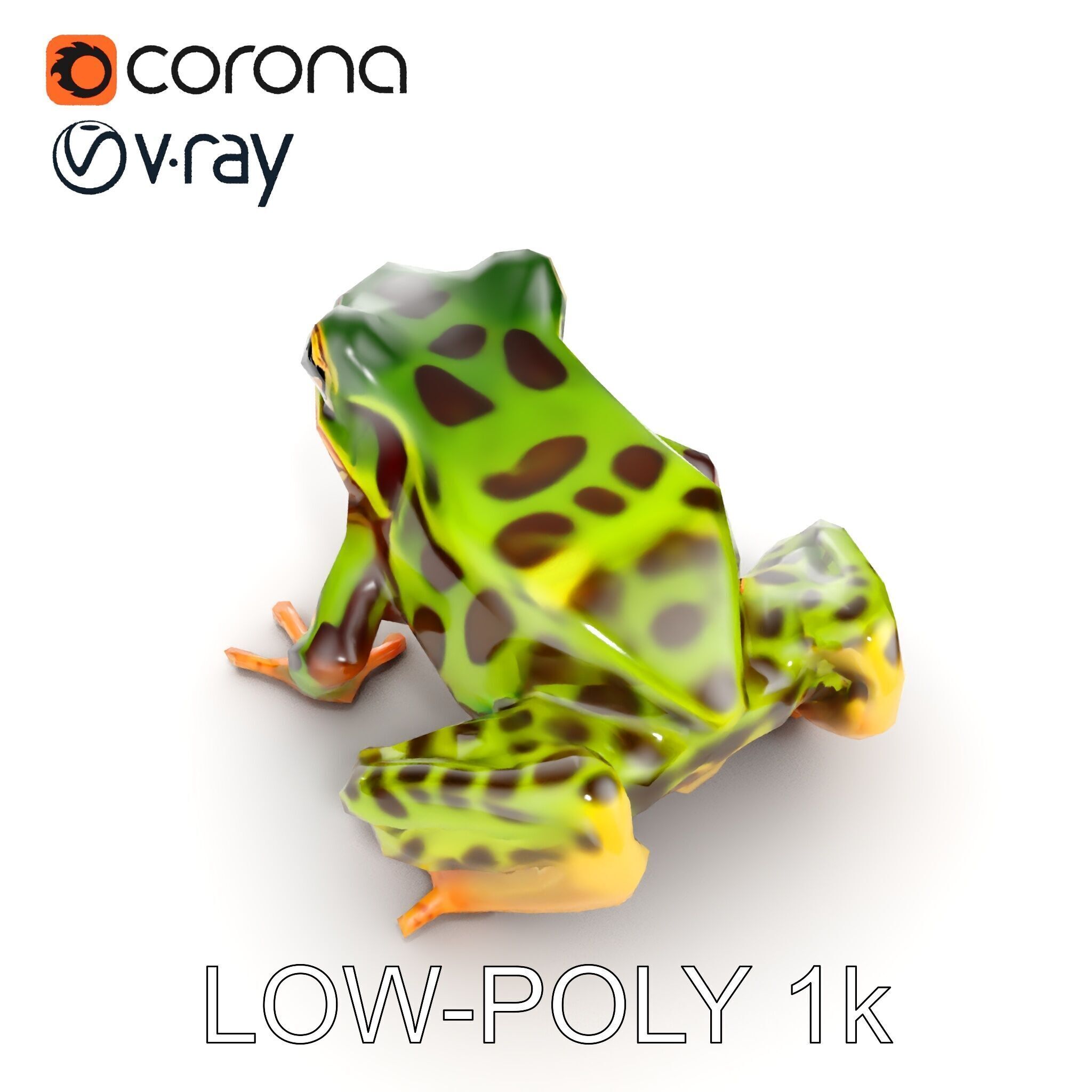 Colorful Tree Frog D Model Pack Low-poly 3D model_19