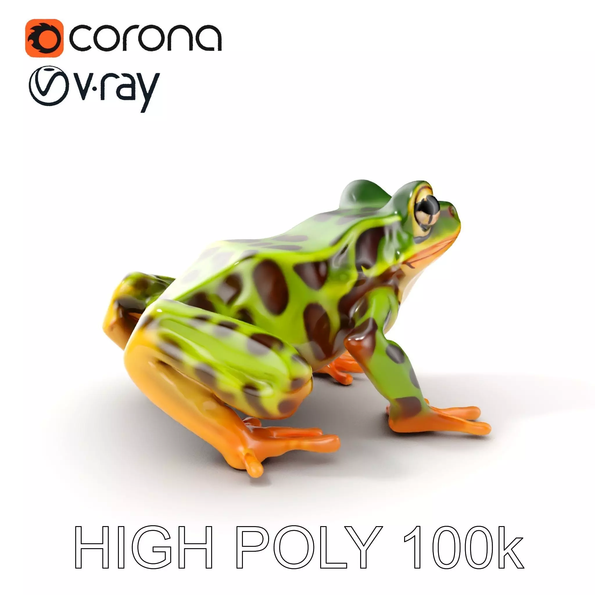 Colorful Tree Frog D Model Pack Low-poly 3D model_0