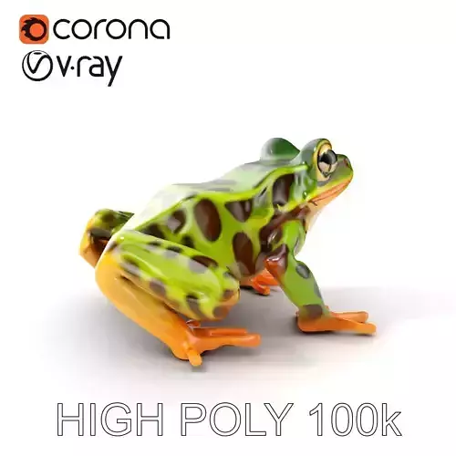 Colorful Tree Frog D Model Pack