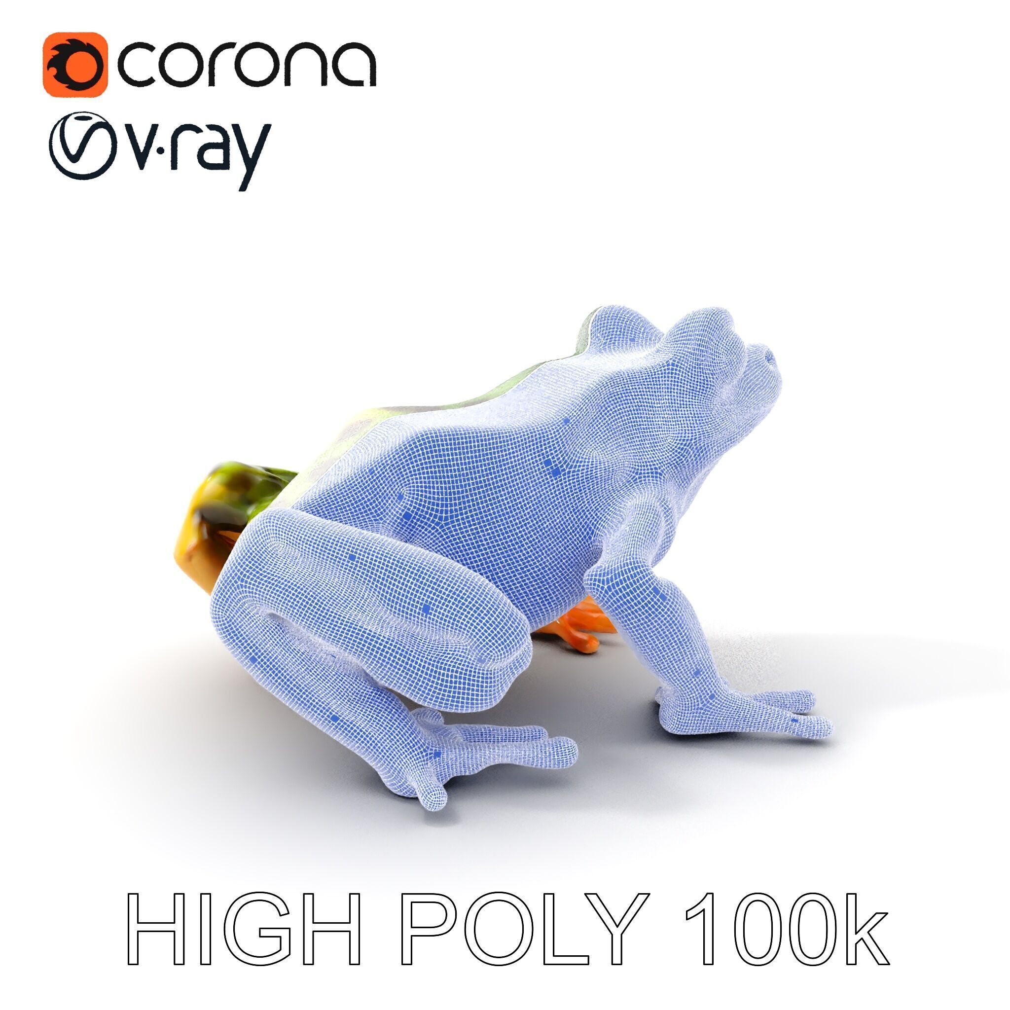 Colorful Tree Frog D Model Pack Low-poly 3D model_4