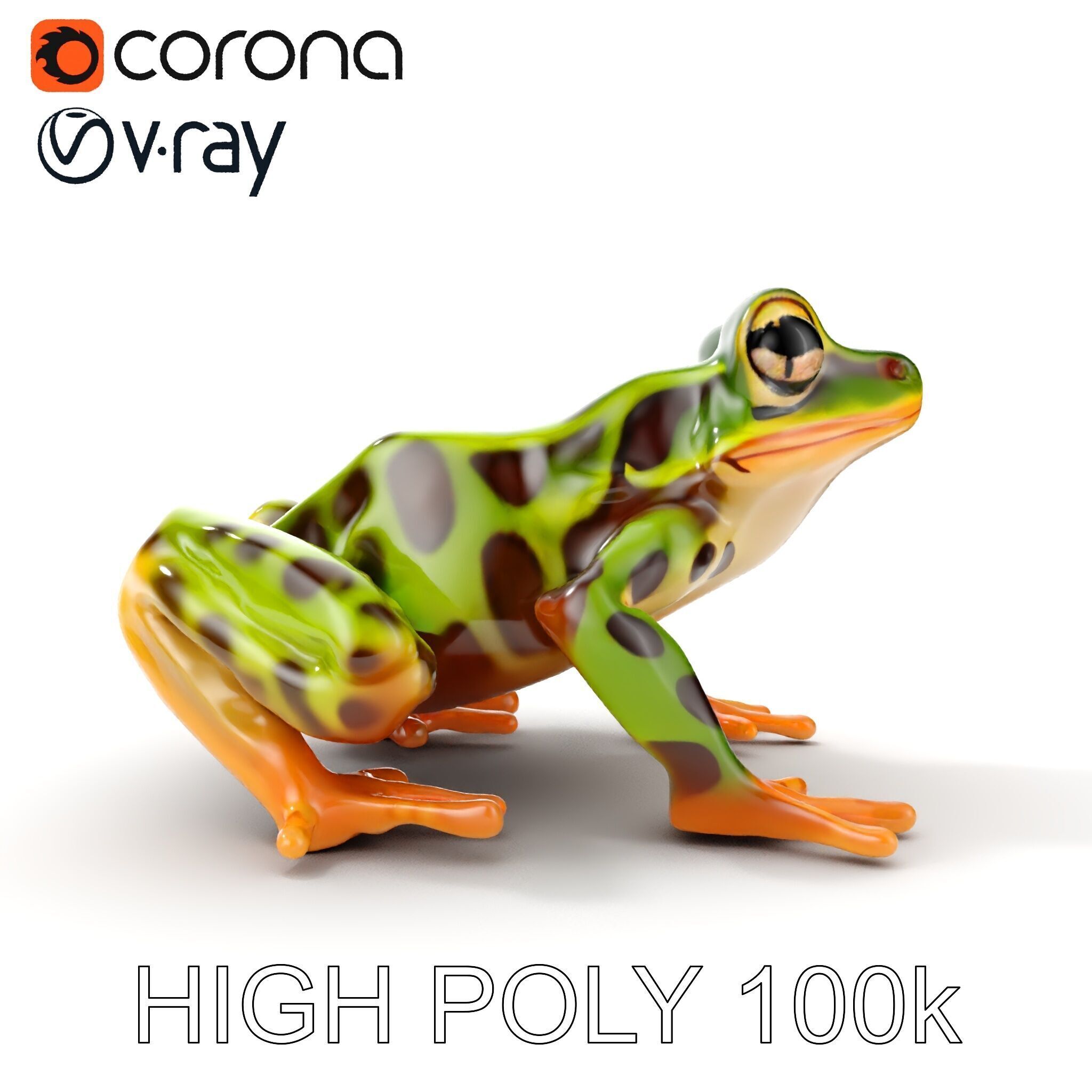Colorful Tree Frog D Model Pack Low-poly 3D model_8