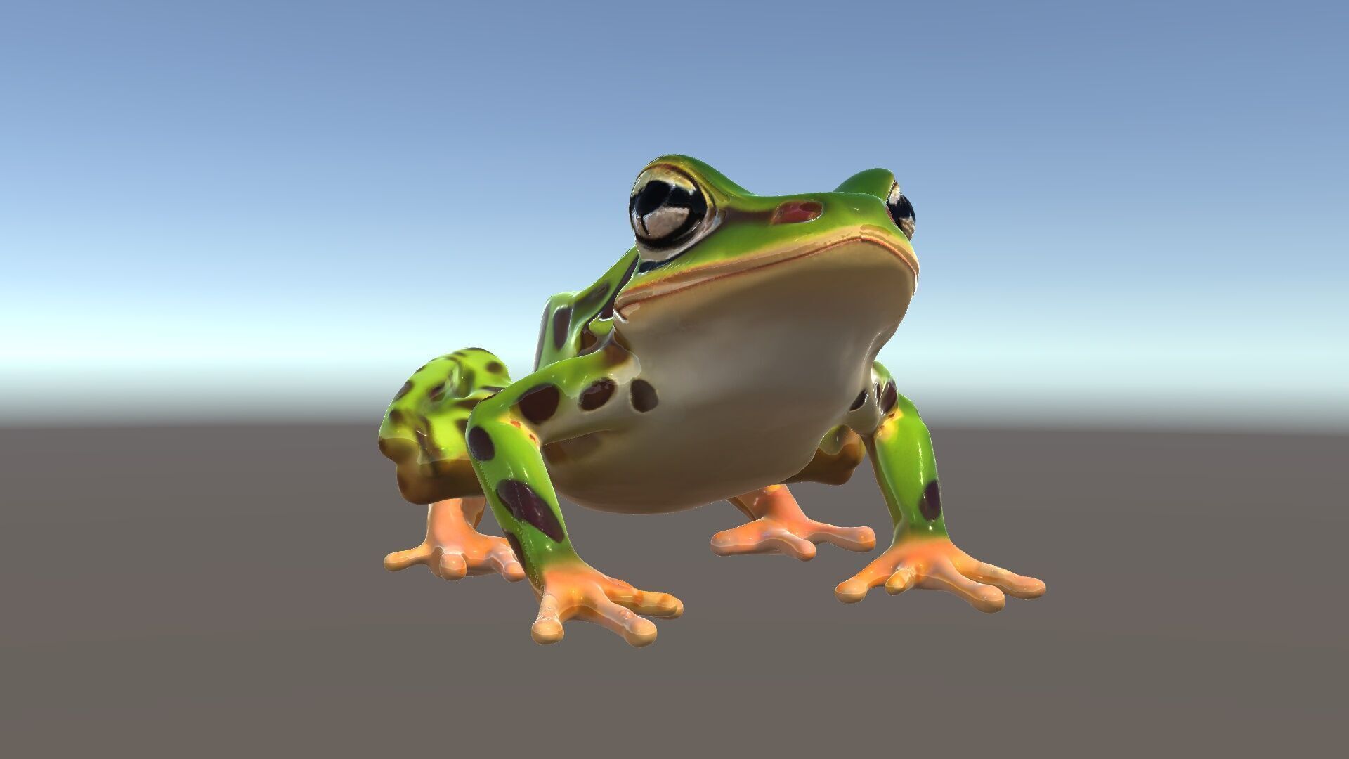 Colorful Tree Frog D Model Pack Low-poly 3D model_5