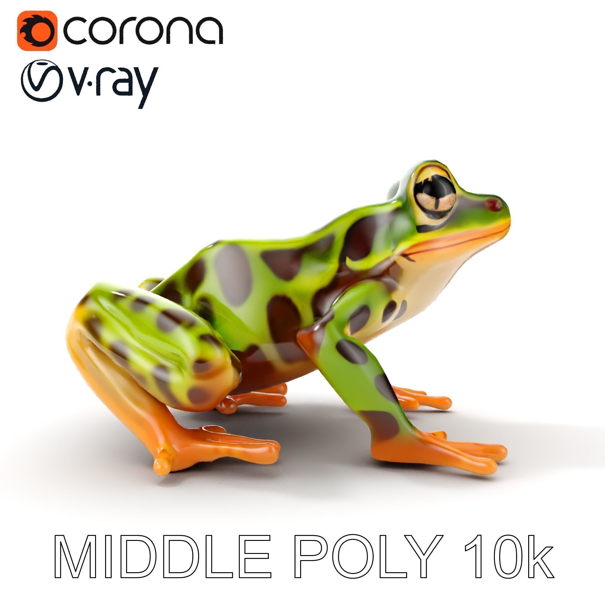 Colorful Tree Frog D Model Pack Low-poly 3D model_12