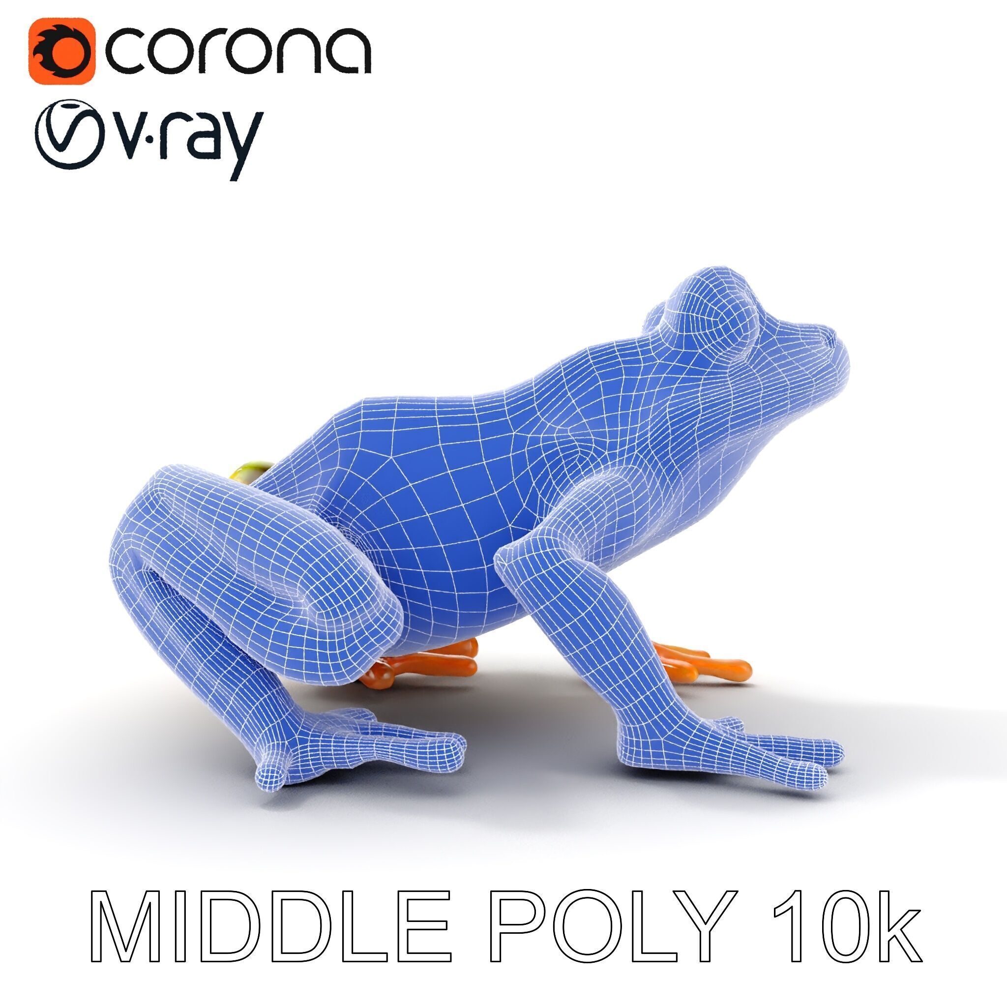 Colorful Tree Frog D Model Pack Low-poly 3D model_22