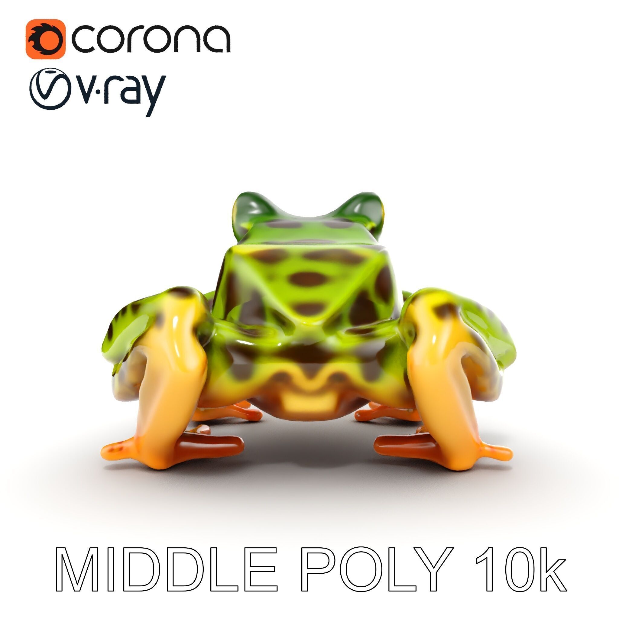 Colorful Tree Frog D Model Pack Low-poly 3D model_6