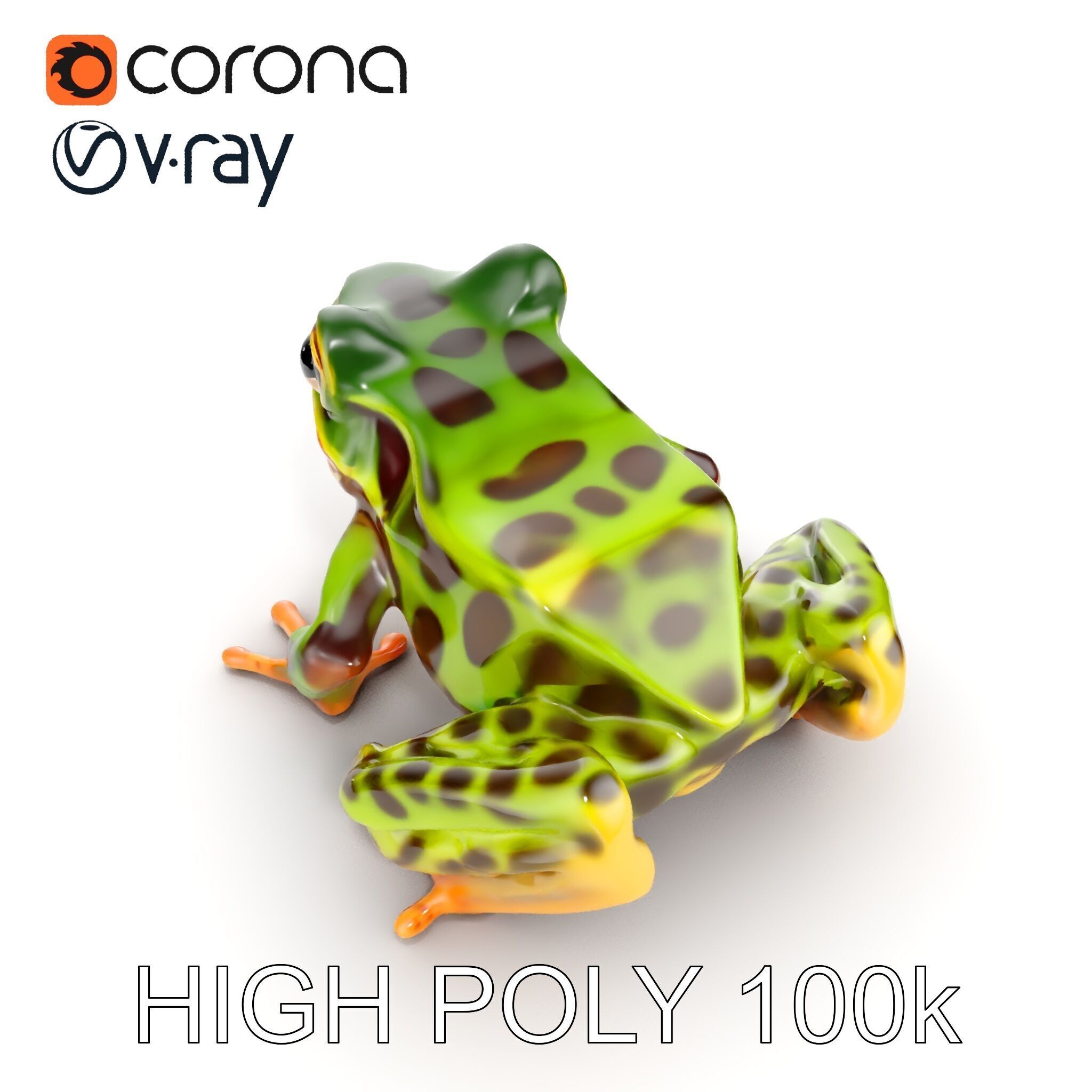 Colorful Tree Frog D Model Pack Low-poly 3D model_14