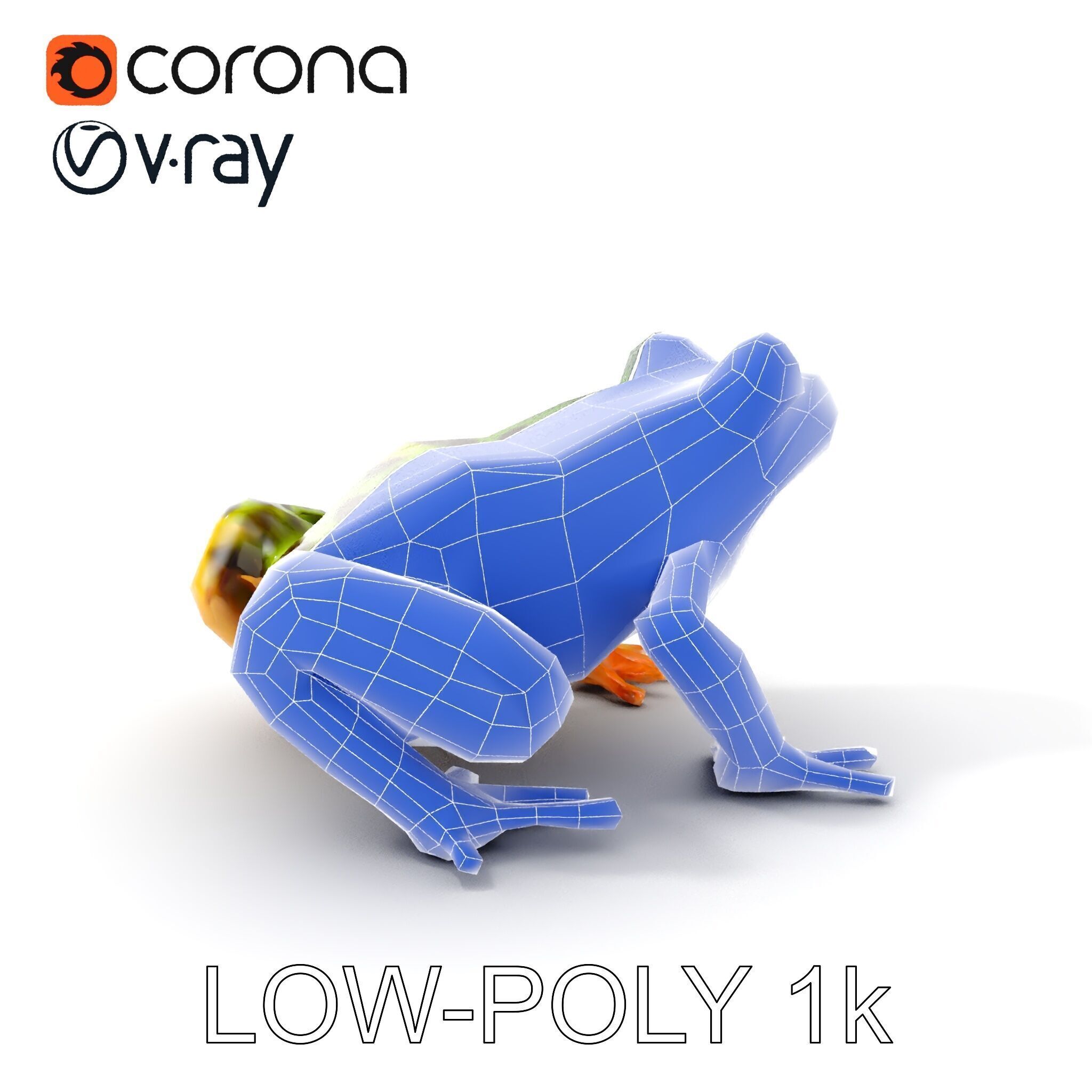 Colorful Tree Frog D Model Pack Low-poly 3D model_29