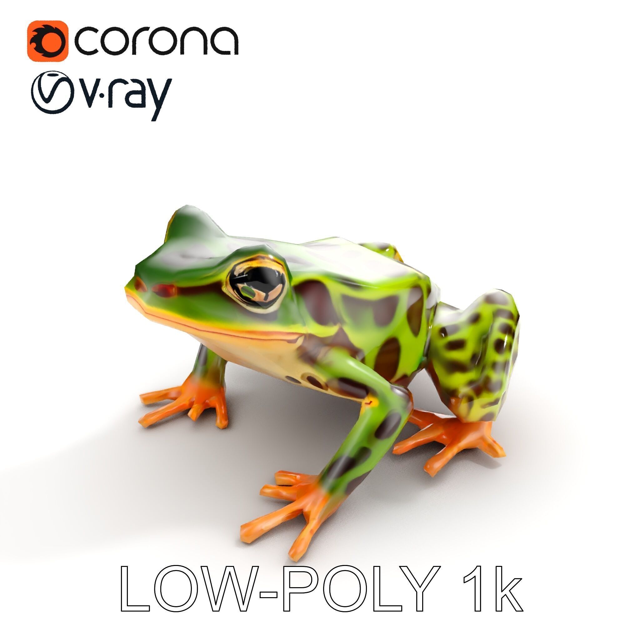Colorful Tree Frog D Model Pack Low-poly 3D model_23