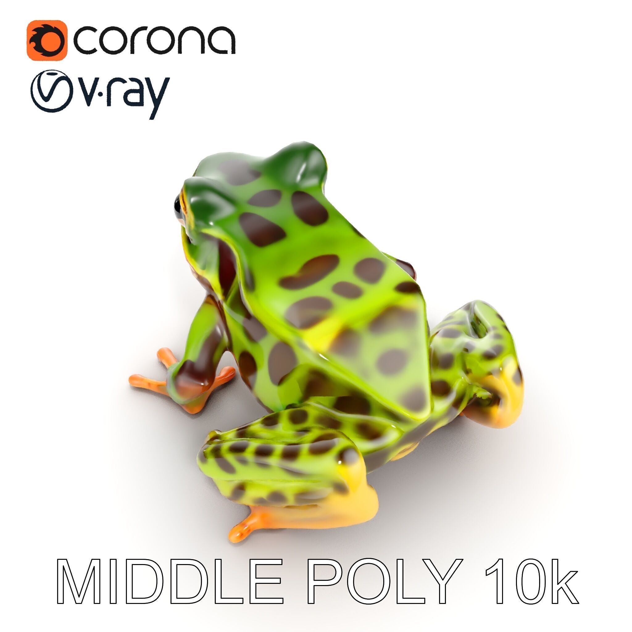 Colorful Tree Frog D Model Pack Low-poly 3D model_18