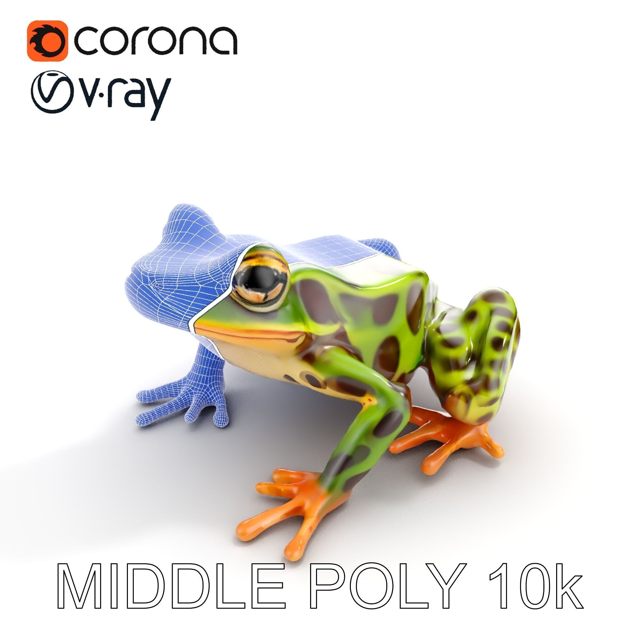 Colorful Tree Frog D Model Pack Low-poly 3D model_32