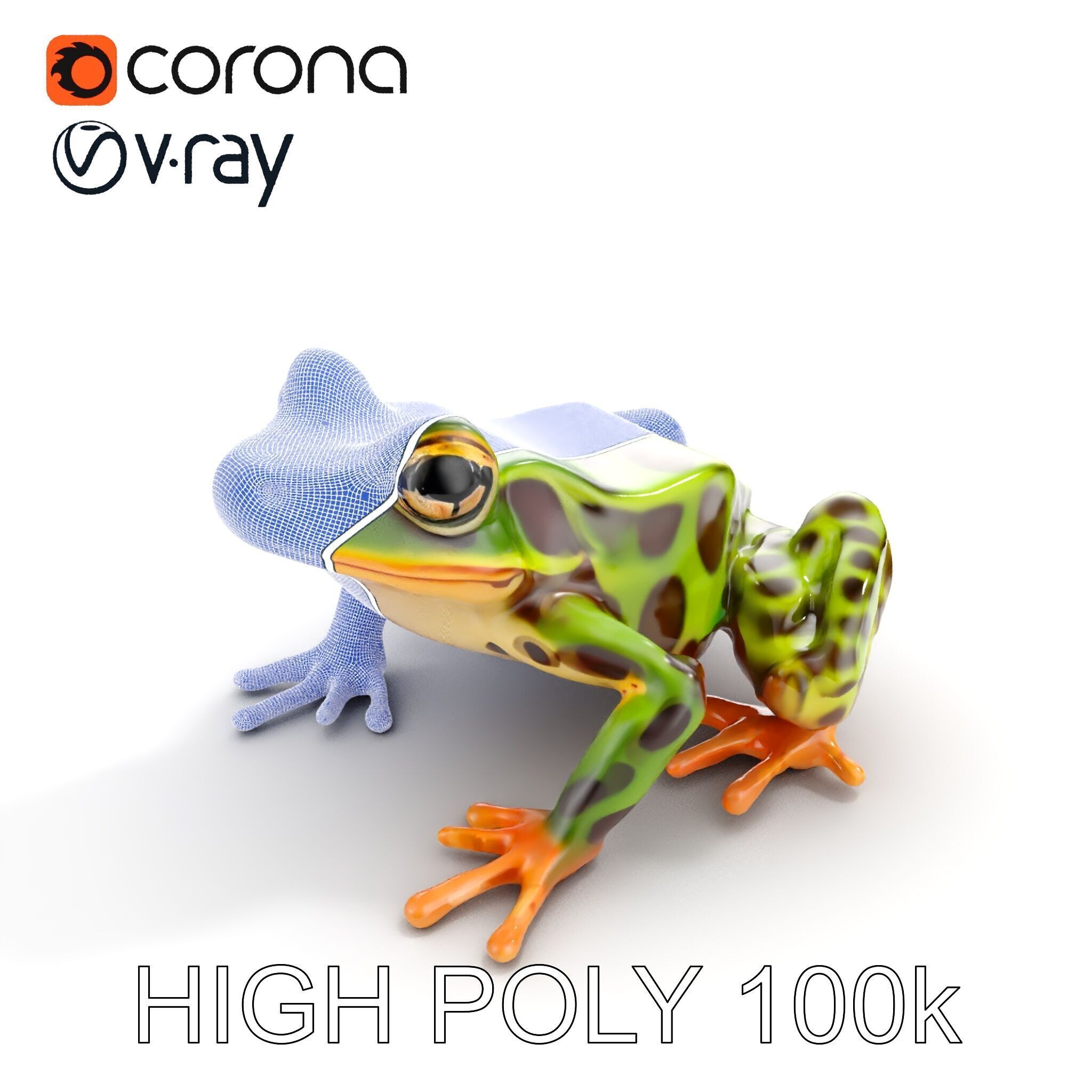 Colorful Tree Frog D Model Pack Low-poly 3D model_27