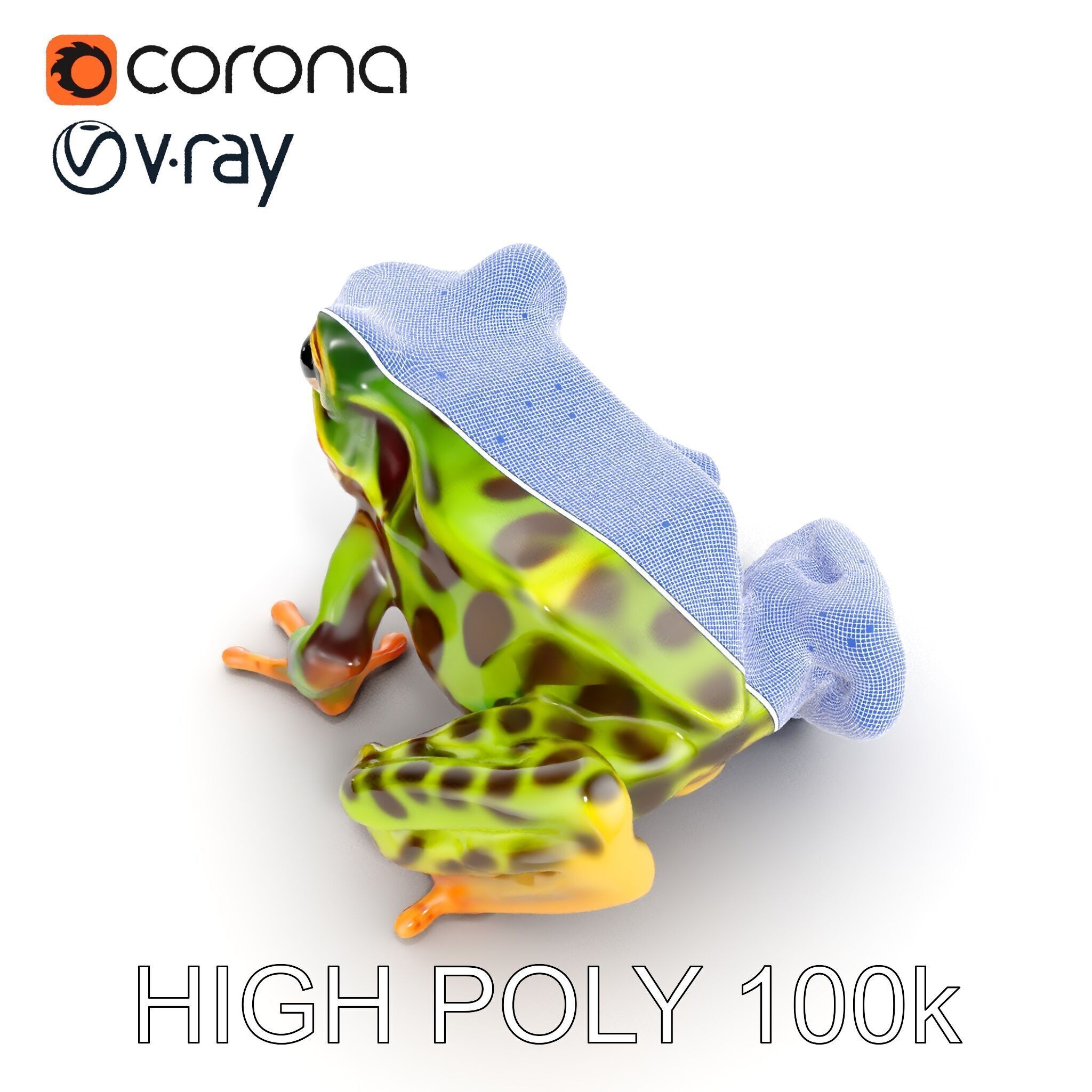 Colorful Tree Frog D Model Pack Low-poly 3D model_24