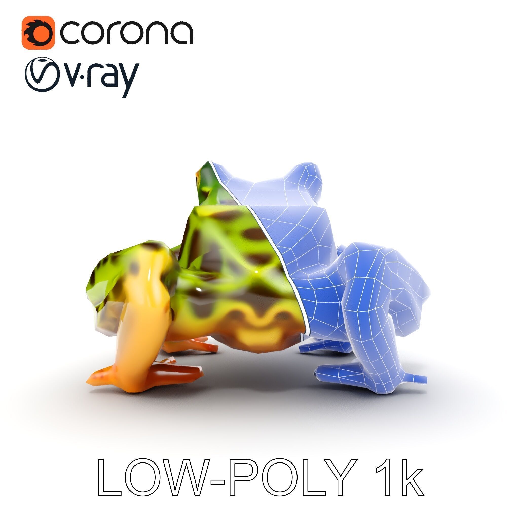 Colorful Tree Frog D Model Pack Low-poly 3D model_21