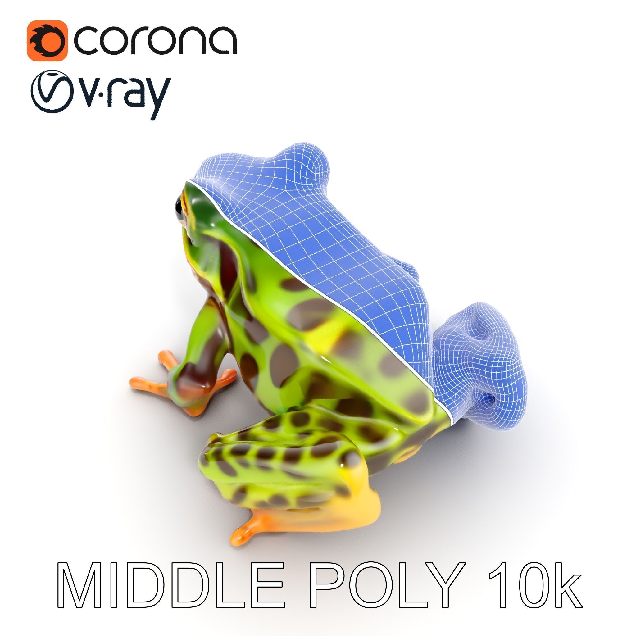 Colorful Tree Frog D Model Pack Low-poly 3D model_20
