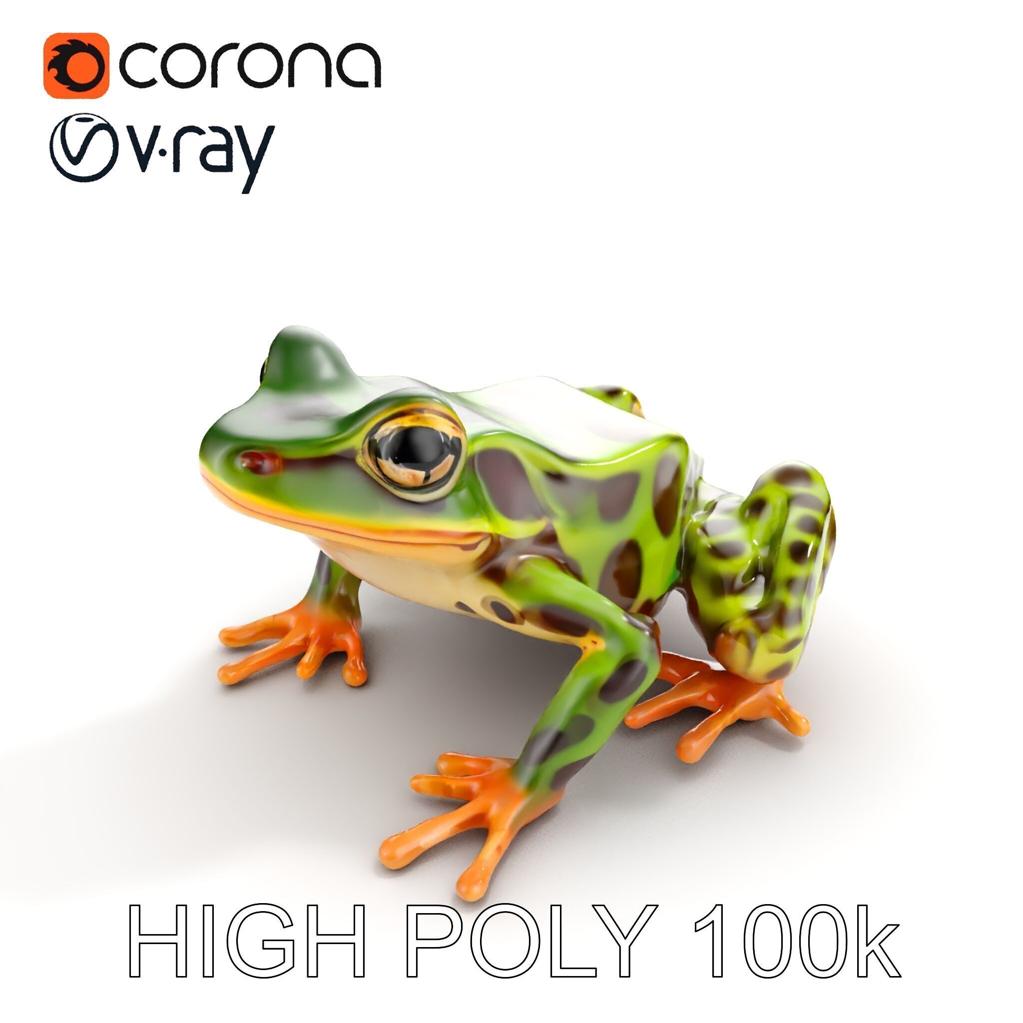 Colorful Tree Frog D Model Pack Low-poly 3D model_35