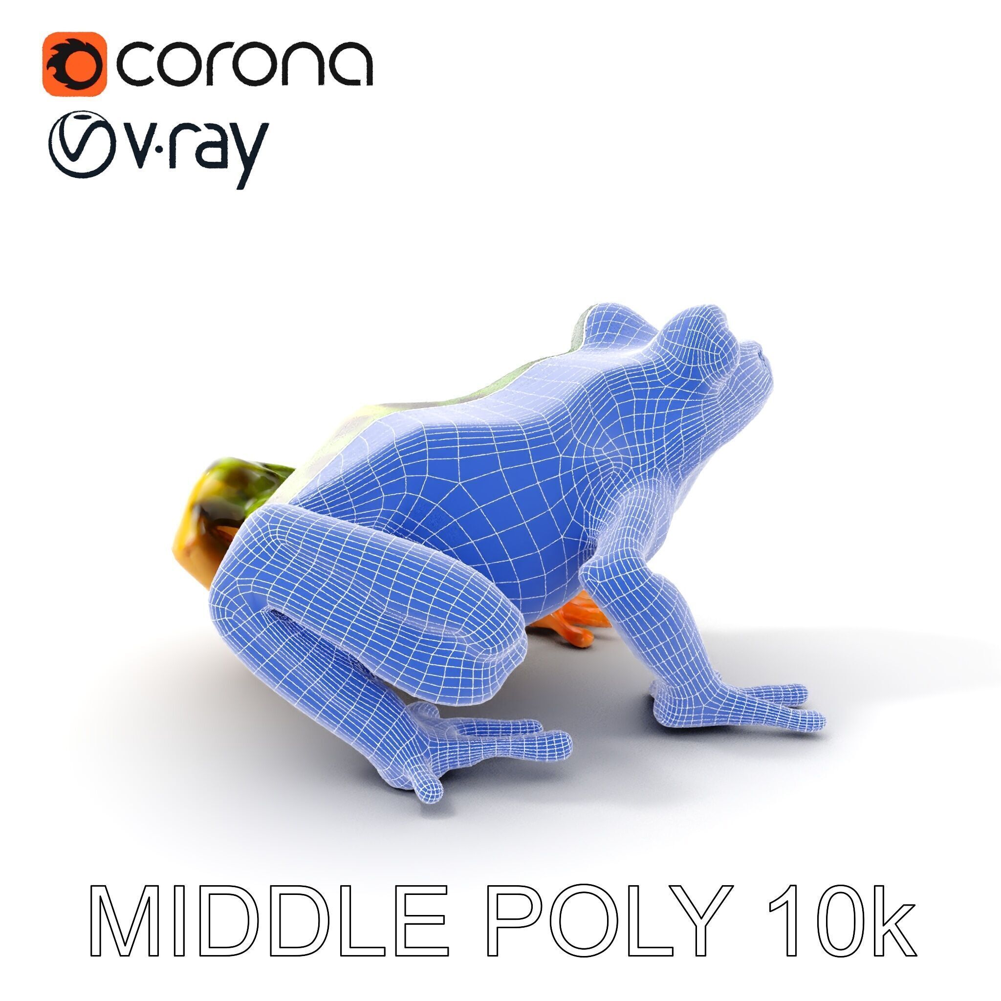 Colorful Tree Frog D Model Pack Low-poly 3D model_25