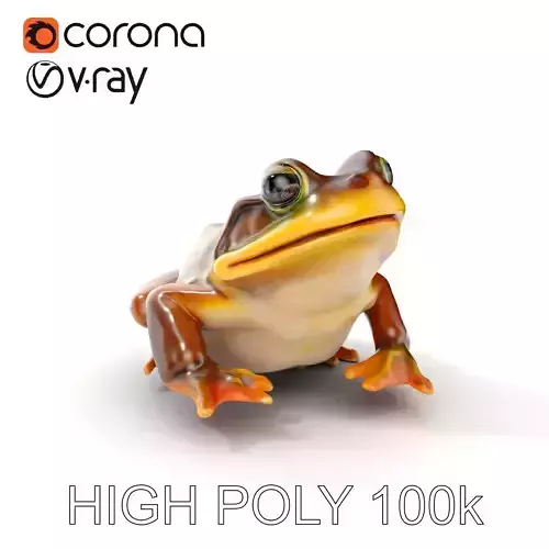 Realistic Frog Model Pack for Animation and Games