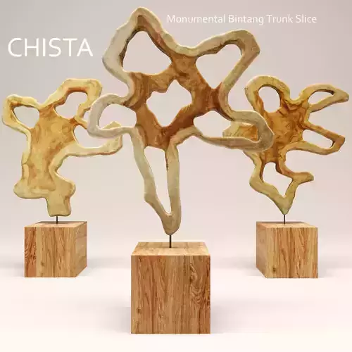 Chista monumental trunk slice 3D