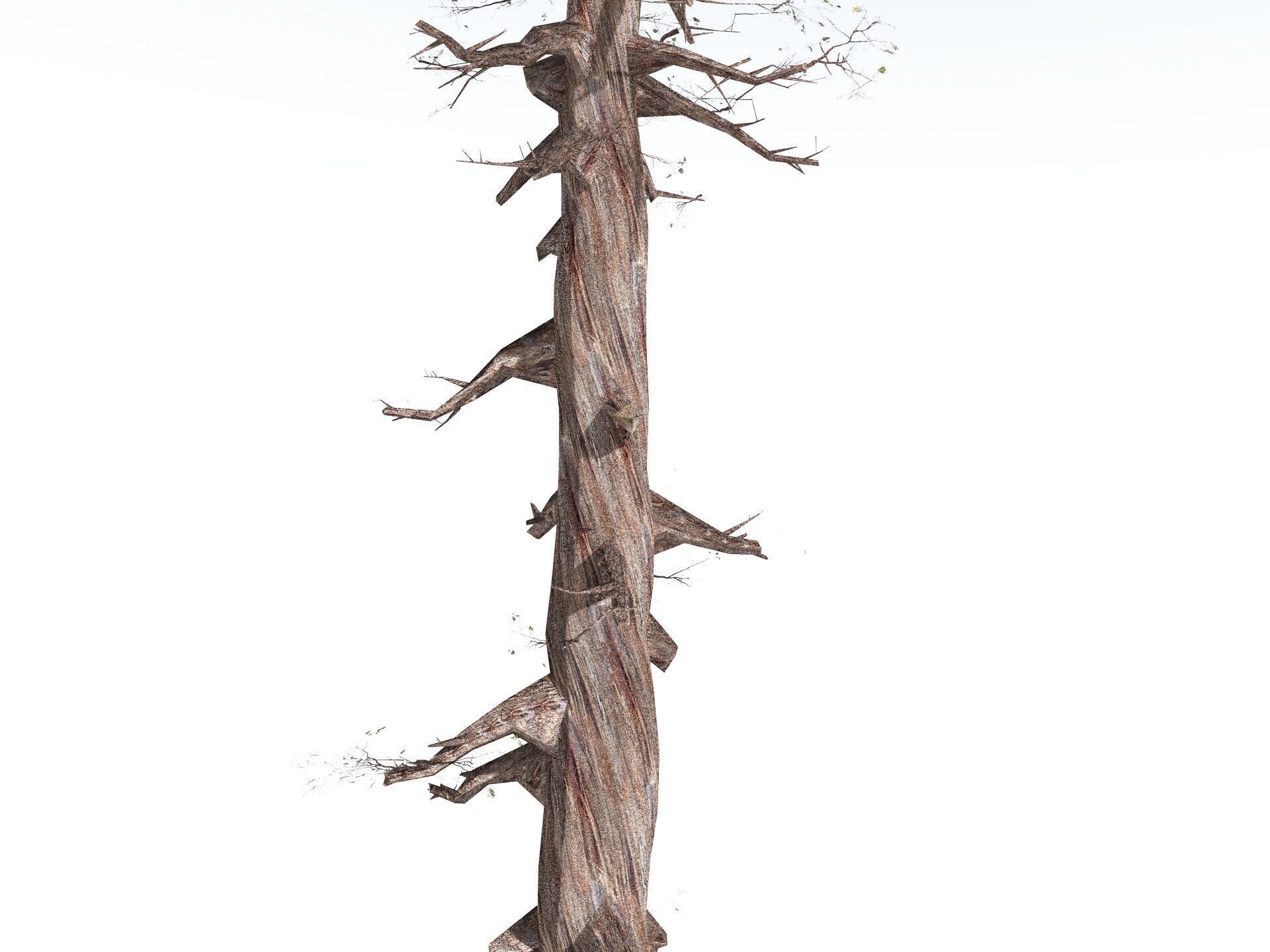 EVERYPlant Coastal Redwood LowPoly Low-poly 3D model_19