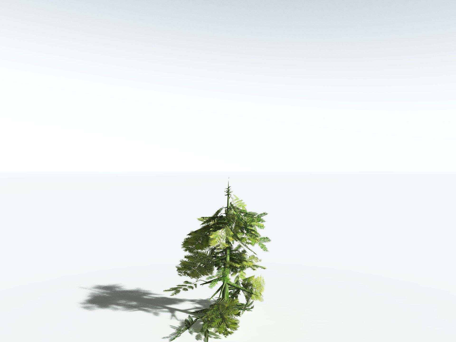 EVERYPlant Coastal Redwood LowPoly Low-poly 3D model_31