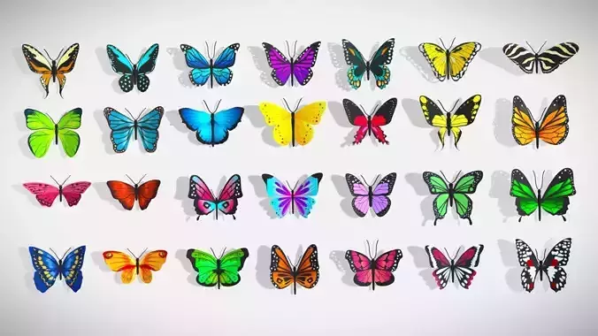 Various types of butterflies