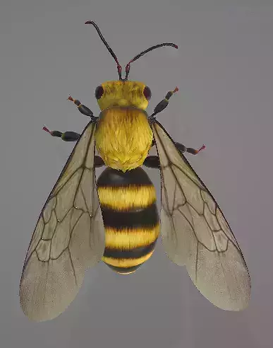 simple bee  3D print model