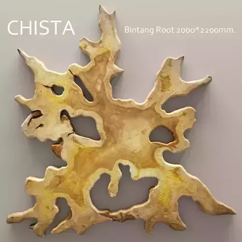 Chista Bintang Root 3D 