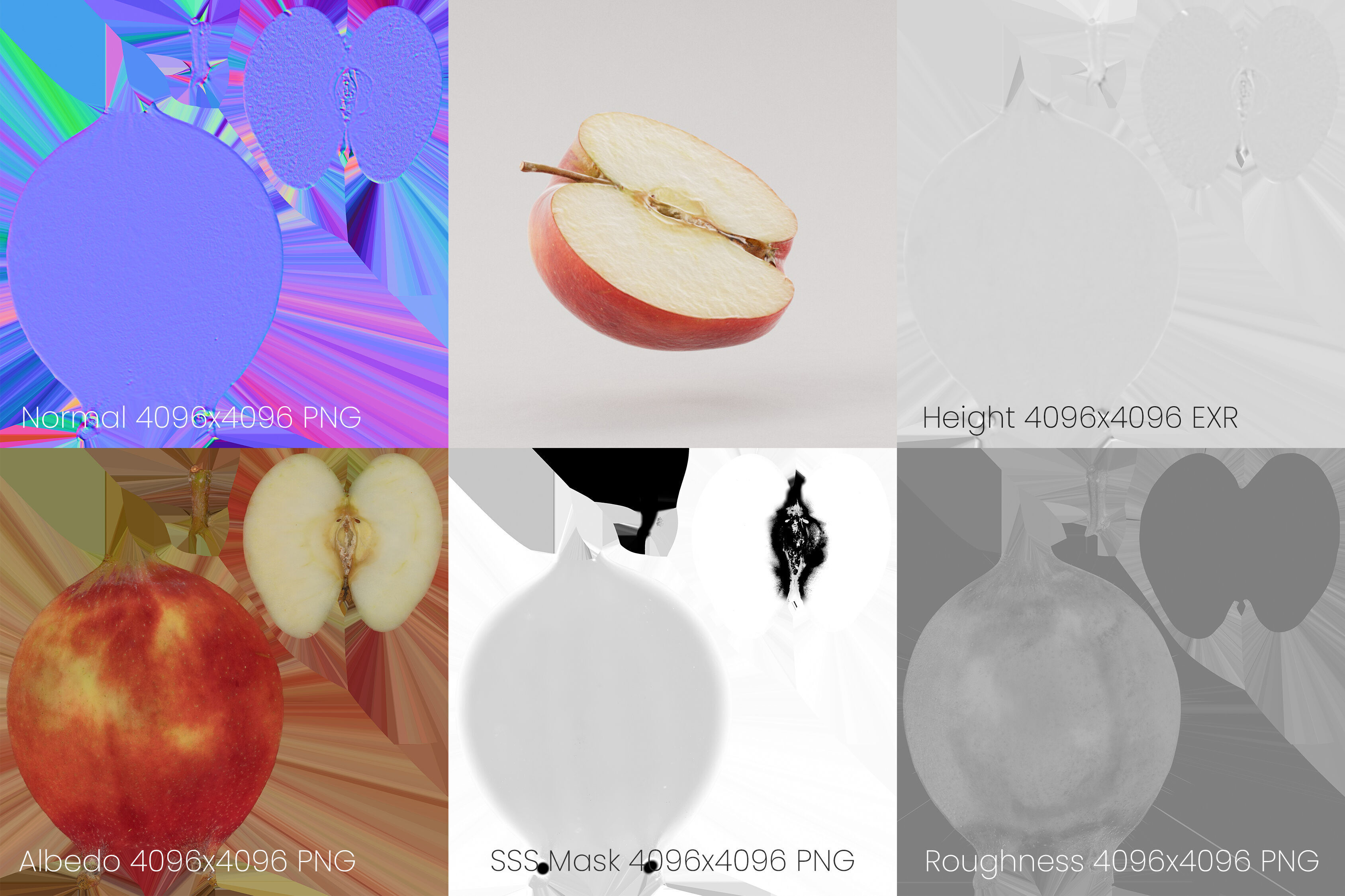 Half Cut Red Apple 3D model_10