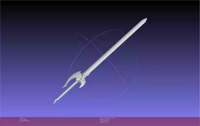 Solo Leveling Cha Hae-In Sword Anime Version