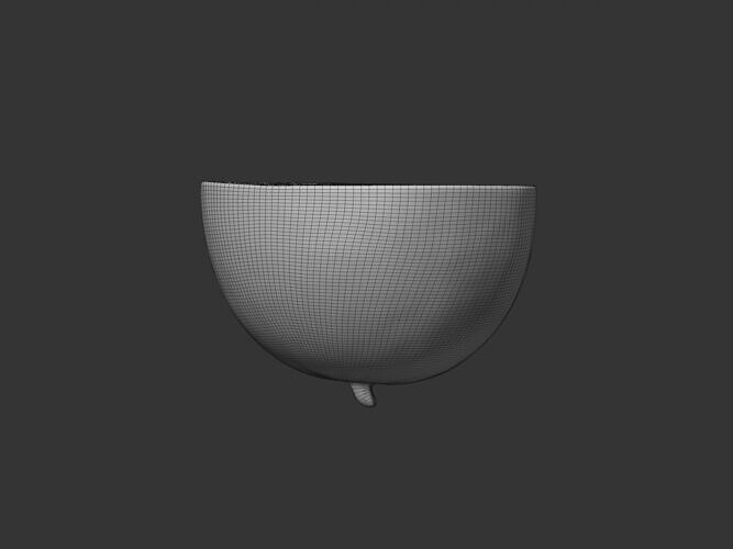 Half Cut Watermelon 3D model 7