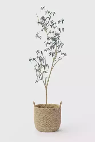 Faux Silver Dollar Eucalyptus Tree