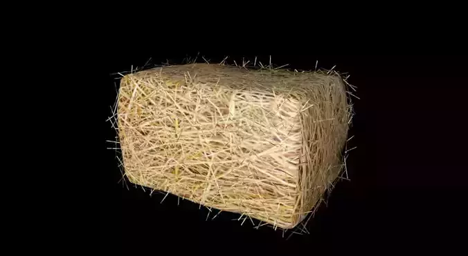 HAY - 3D FBX