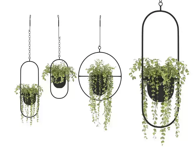 Metal Hanging Plants 01