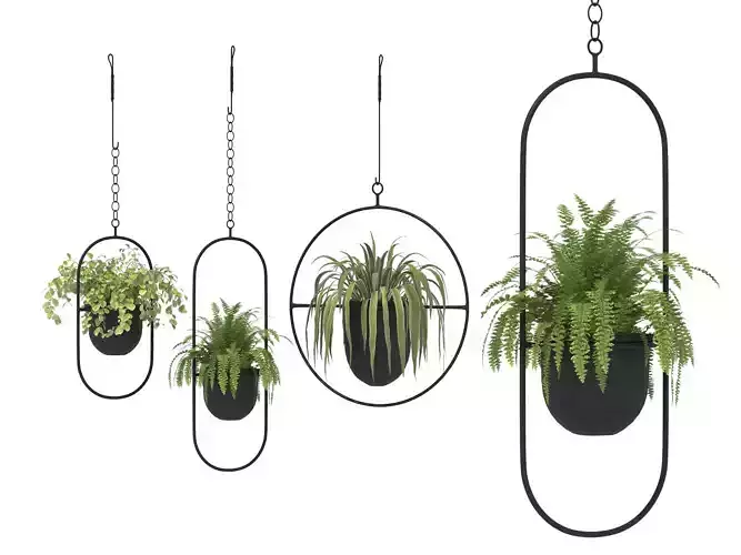 Metal Hanging Plants 02